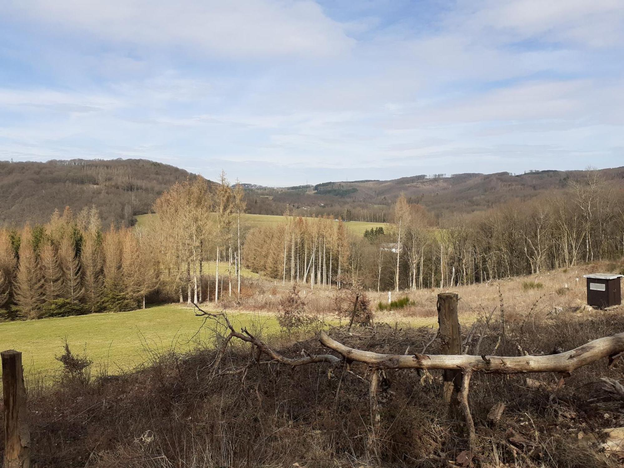 Haus S.E.E. Hotel Marienthal  Bagian luar foto